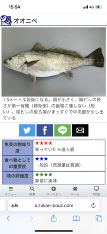 7A4B76F1-517D-4D1B-A646-359794D883BA.png