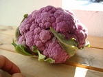 DSC00834.jpg