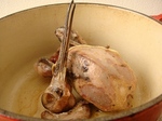 DSC01062.jpg