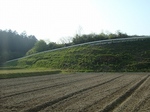 DSC02081.jpg