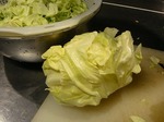 DSC08106.jpg