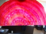DSC08630.jpg