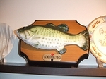 DSCF2885.jpg