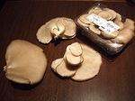 DSCF2964.jpg
