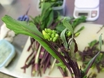 DSCF3689.jpg
