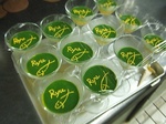 DSCF6121.jpg