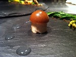 煮凝りジュ.jpg